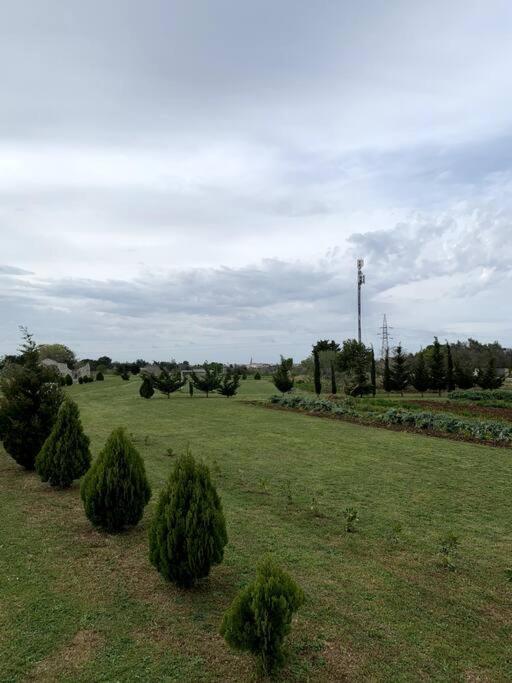 Appartement Fraschi Countryhouse à Carpignano Salentino Extérieur photo